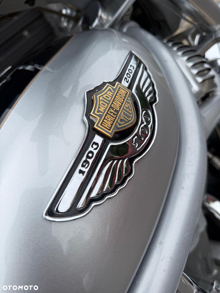 Harley-Davidson V-Rod Street Rod - 17