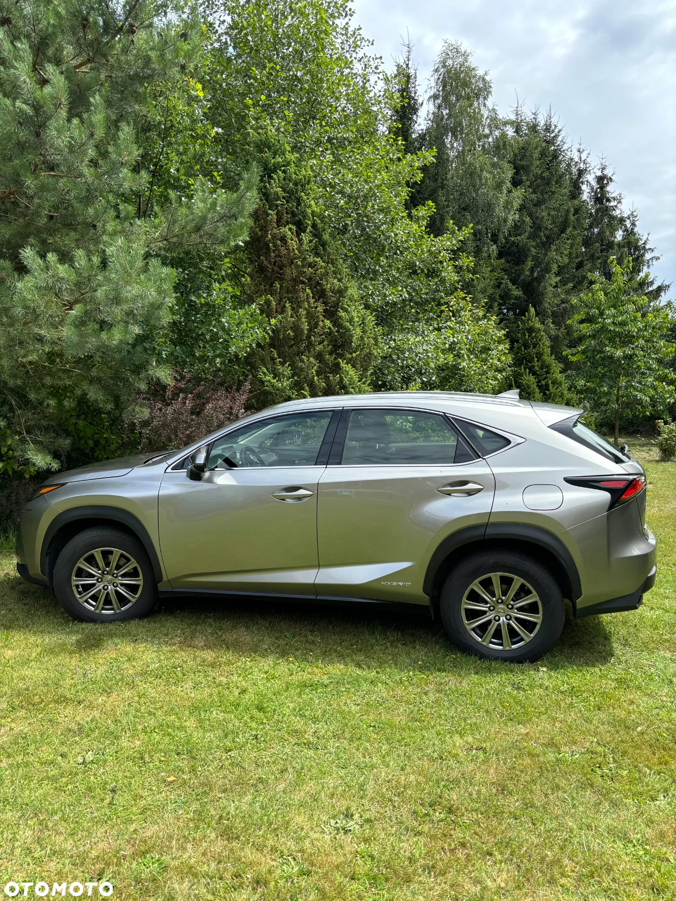 Lexus NX 300h Elegance AWD - 3