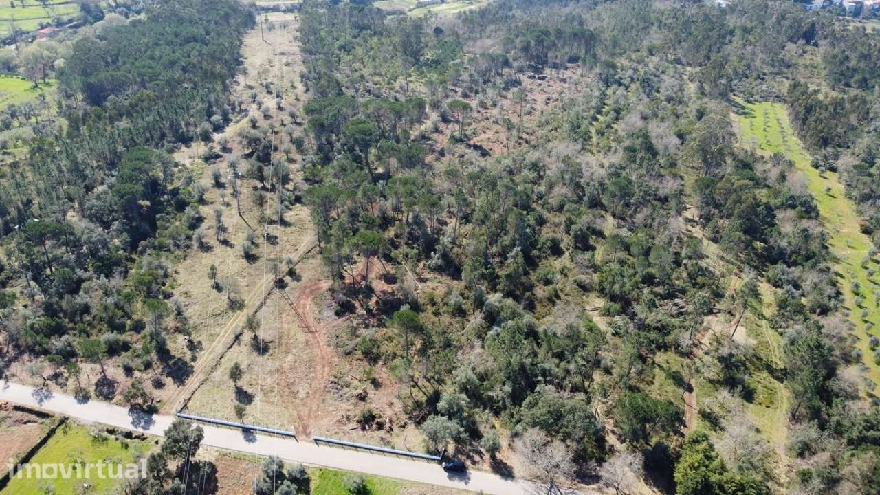 Terreno com 19.130 m2 e frente de estrada – Orelhudo, Cernache | A pou - Grande imagem: 4/11