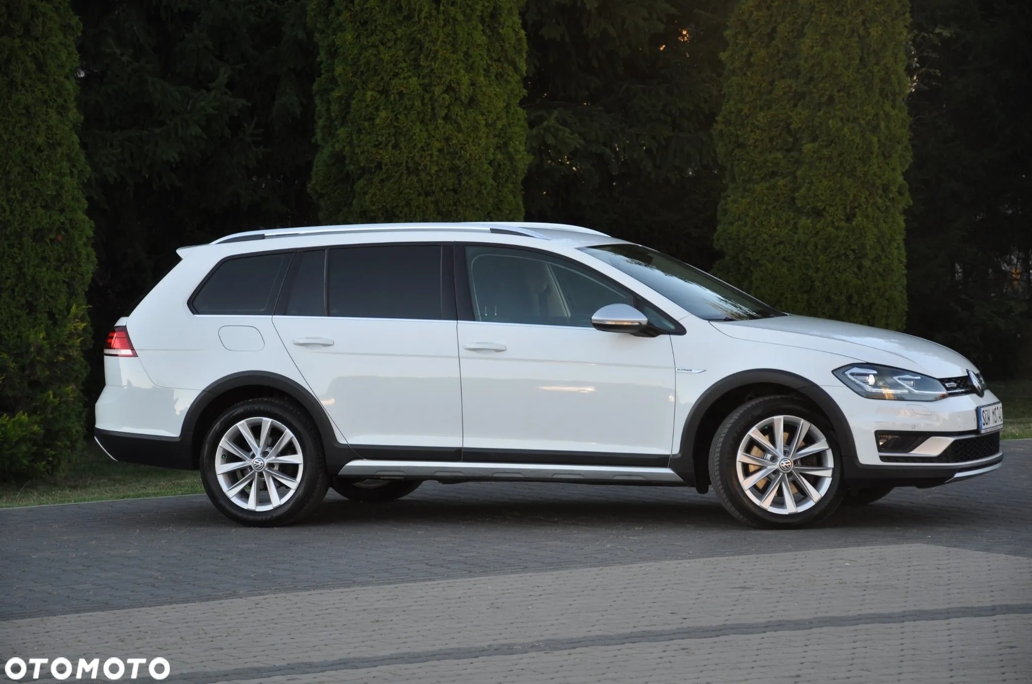 Volkswagen Golf Alltrack 2.0 TDI 4Motion BlueMotion Techn DSG - 8