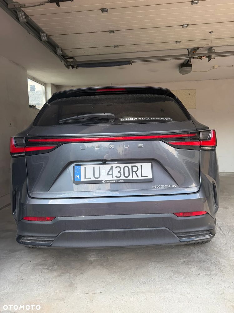 Lexus NX - 10
