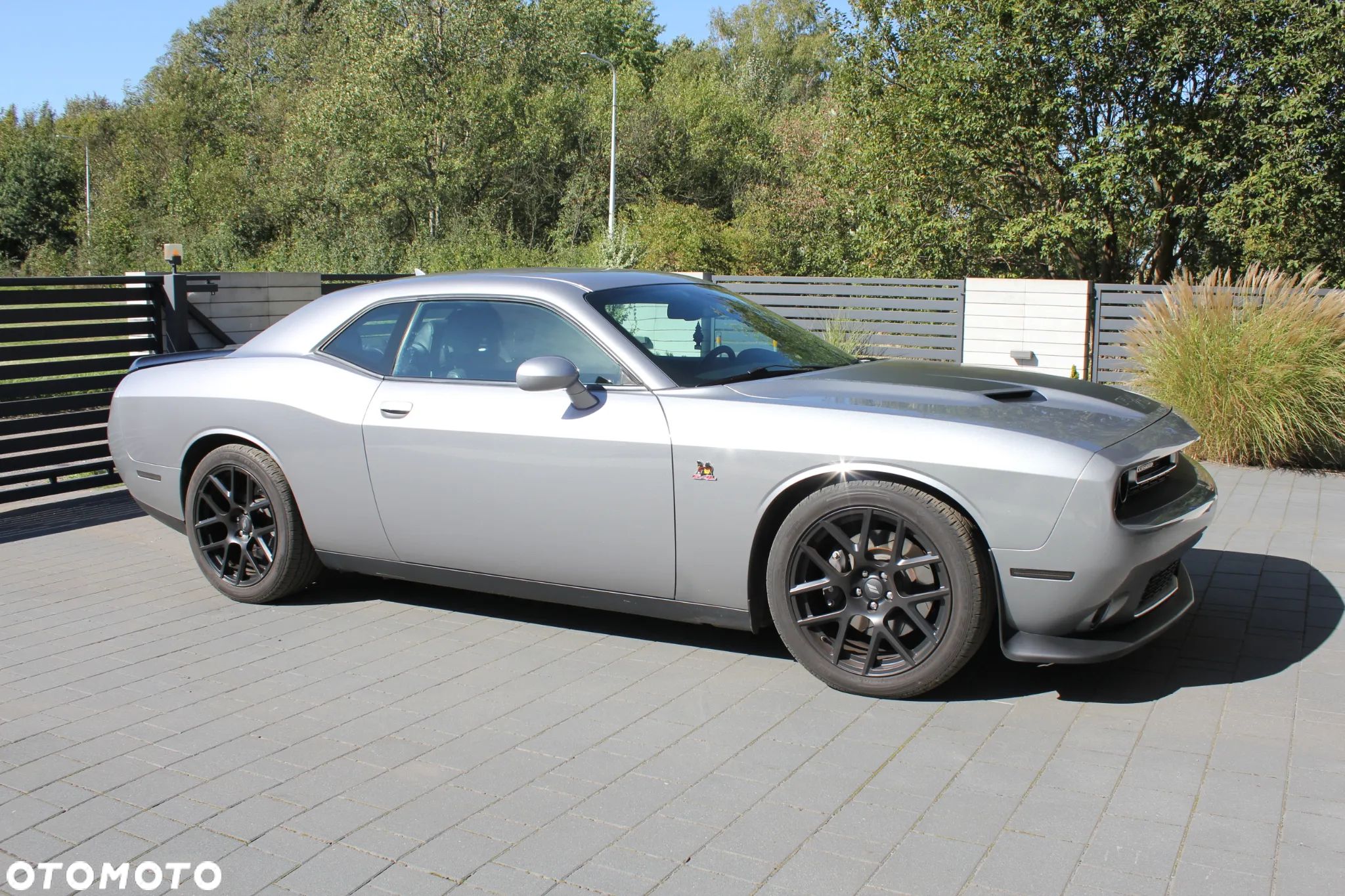 Dodge Challenger 6.4 Scat Pack - 1