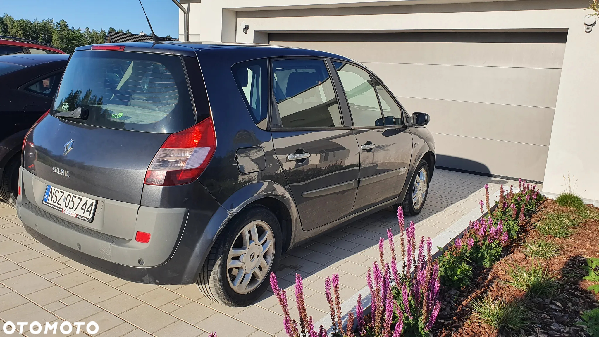 Renault Scenic - 3
