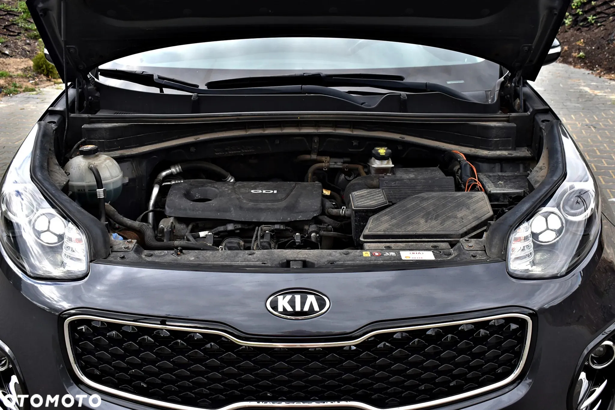 Kia Sportage - 27