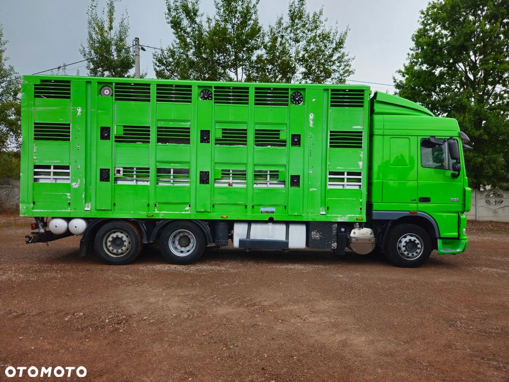 DAF xf 105 460 - 3