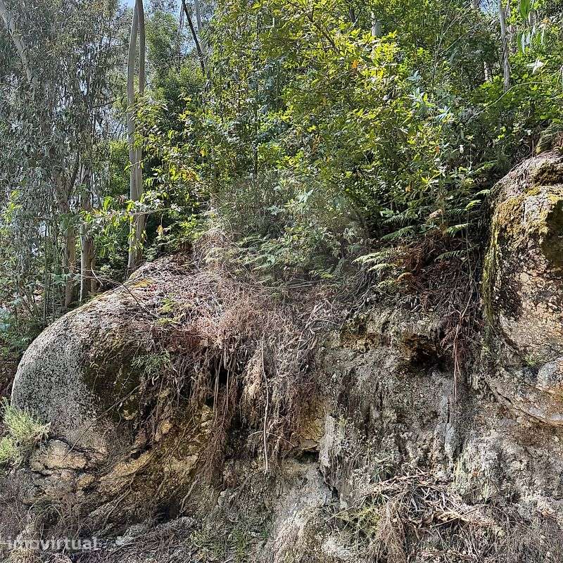 Terreno  para venda - Grande imagem: 5/50