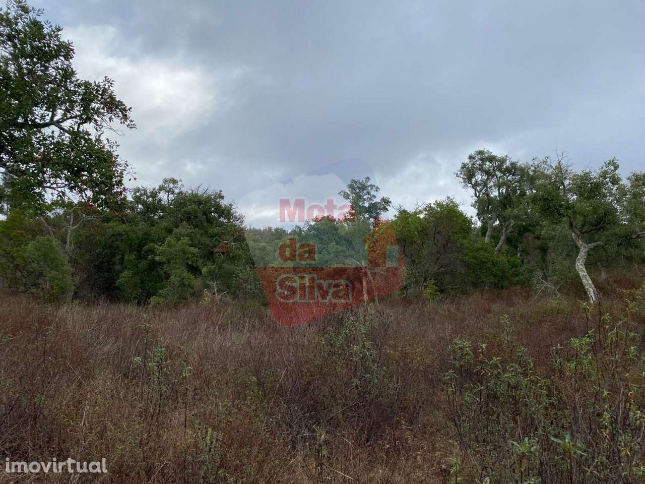 Terreno de 13.5ha em Santa Margarida da Serra - Grande imagem: 5/15