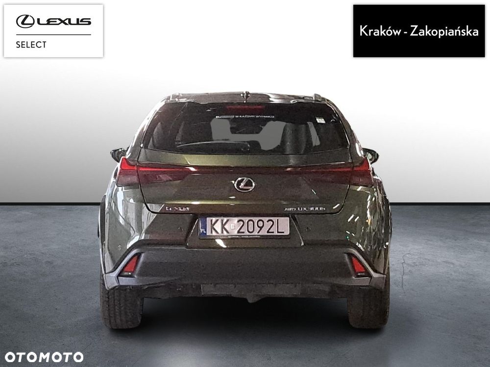 Lexus UX 300h Omotenashi AWD - 8