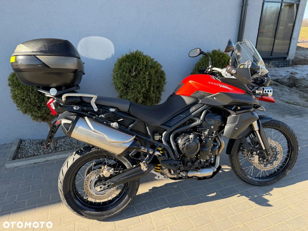 Triumph Tiger - 3