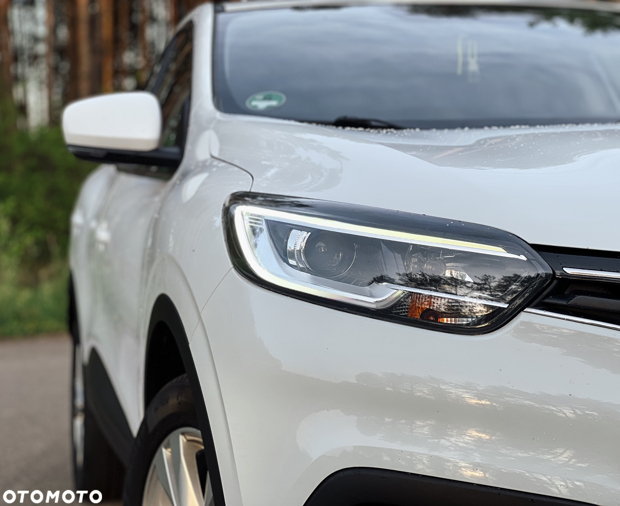 Renault Kadjar Energy TCe 130 Business - 5