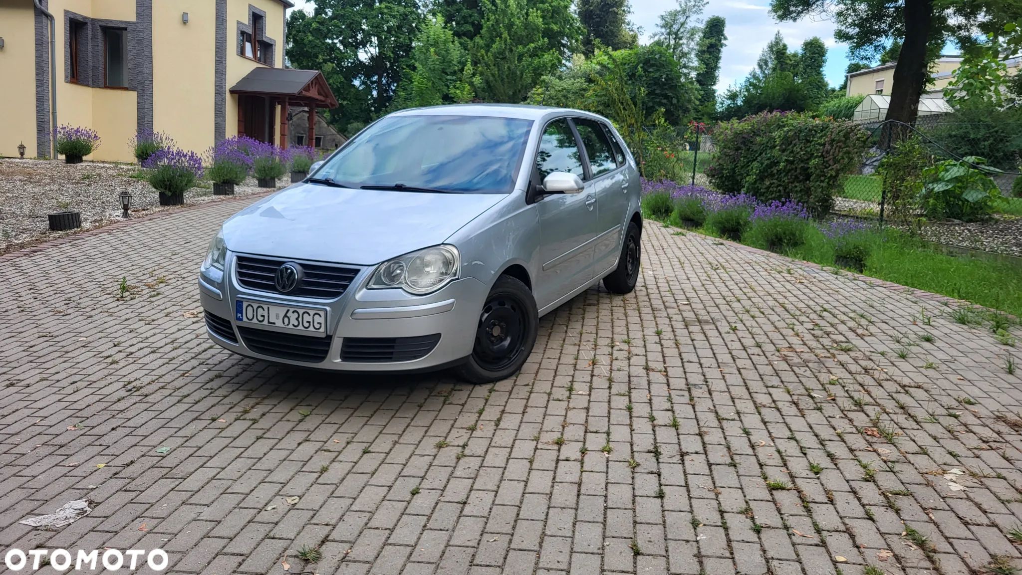 Volkswagen Polo - 1
