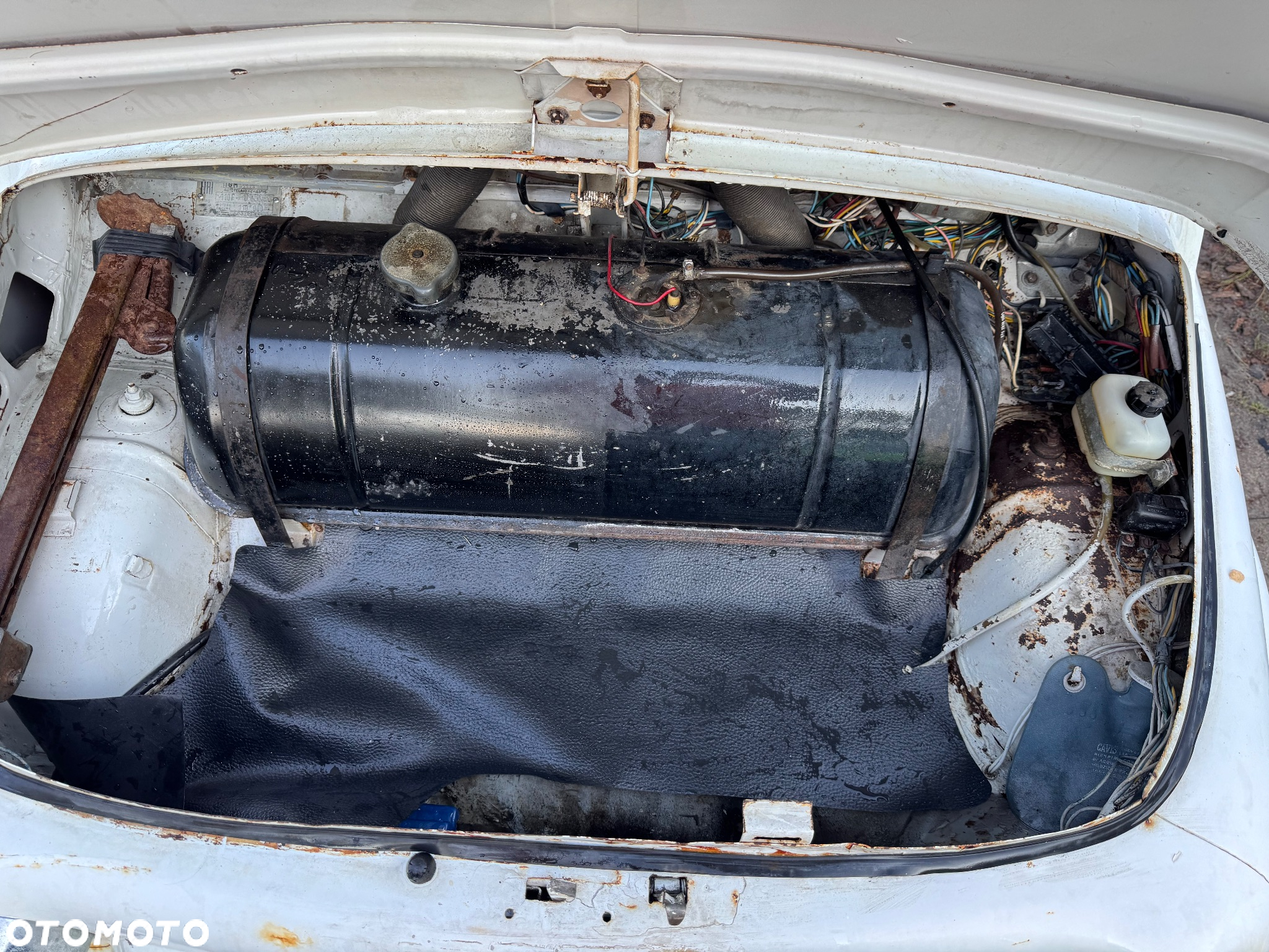 Fiat 500 - 9