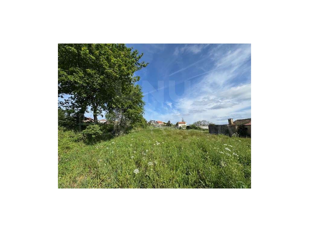 Terreno em São Romão de Neiva - Grande imagem: 2/5