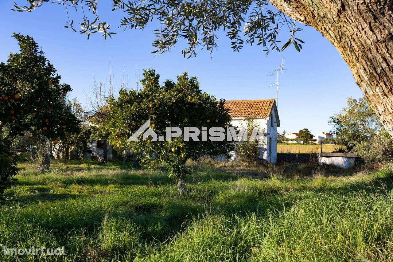 Quintinha T2+1 para Venda em Lardosa - Grande imagem: 2/33