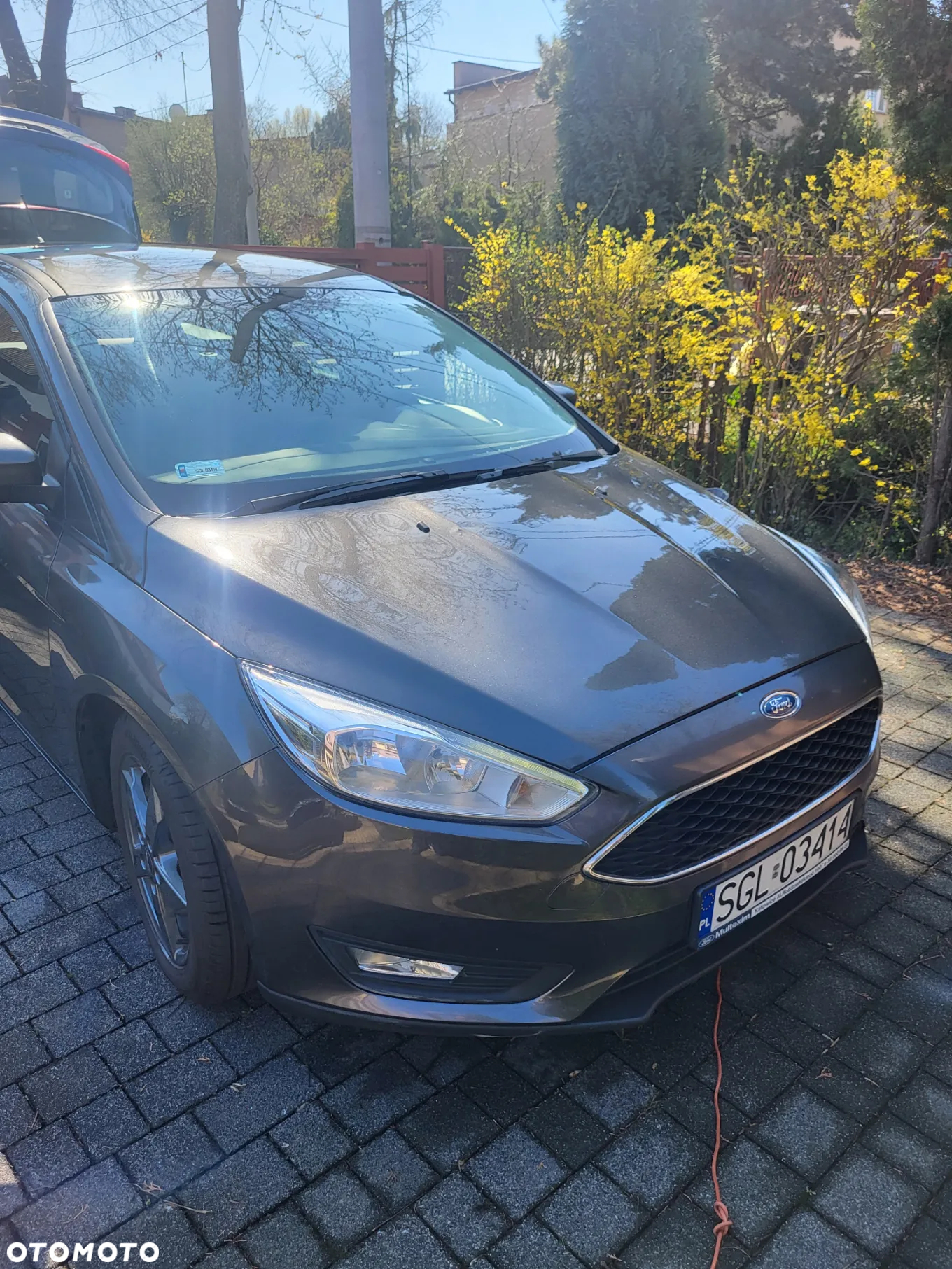 Ford Focus 1.5 TDCi Trend - 2