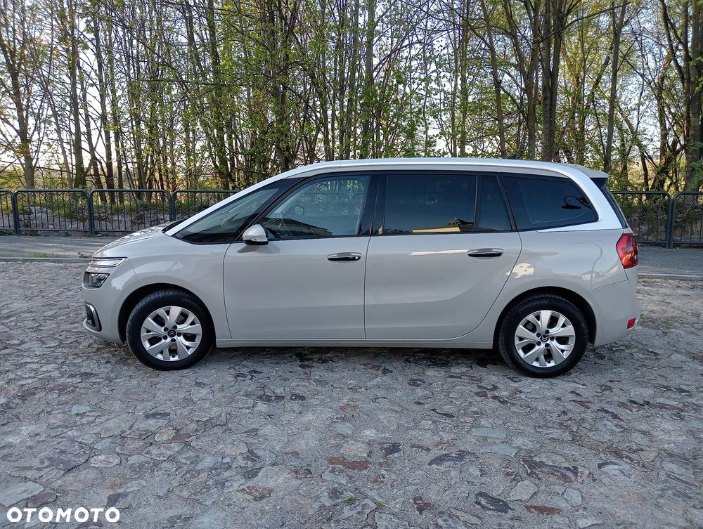 Citroën C4 Grand Picasso BlueHDi 120 SHINE - 11