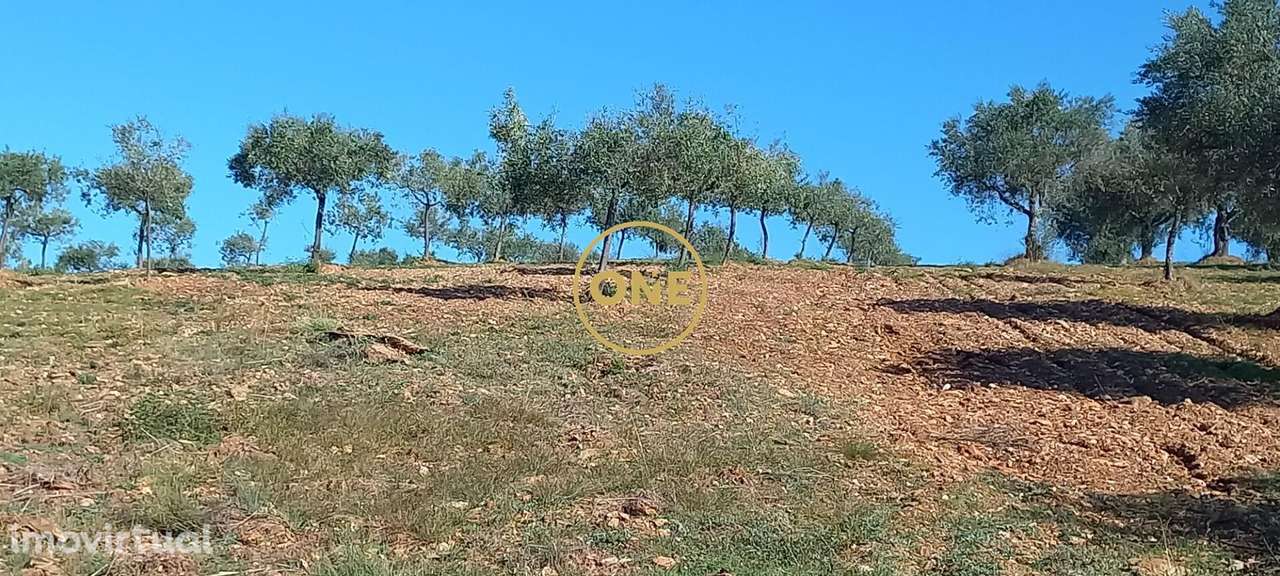 Terreno rústico/agrícola com 1,7 hectares, em Argozelo, Vimioso, Braga - Grande imagem: 2/17
