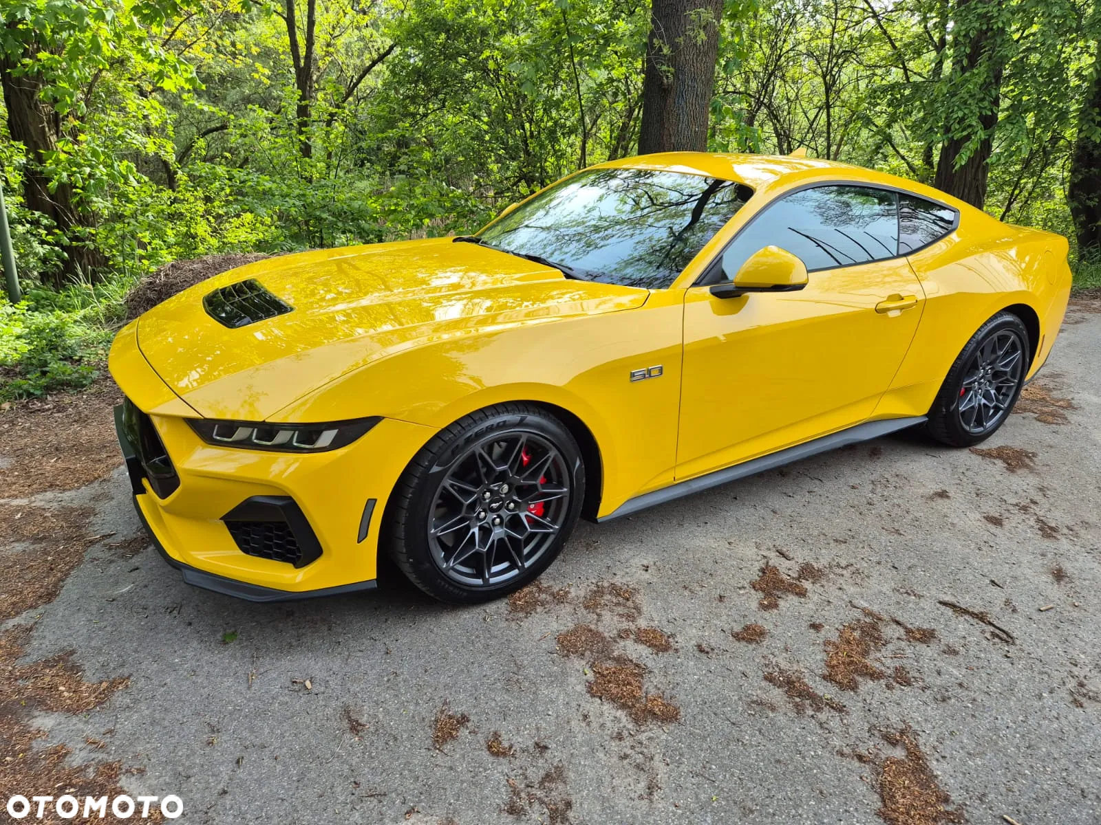 Ford Mustang Fastback 5.0 Ti-VCT V8 GT - 33