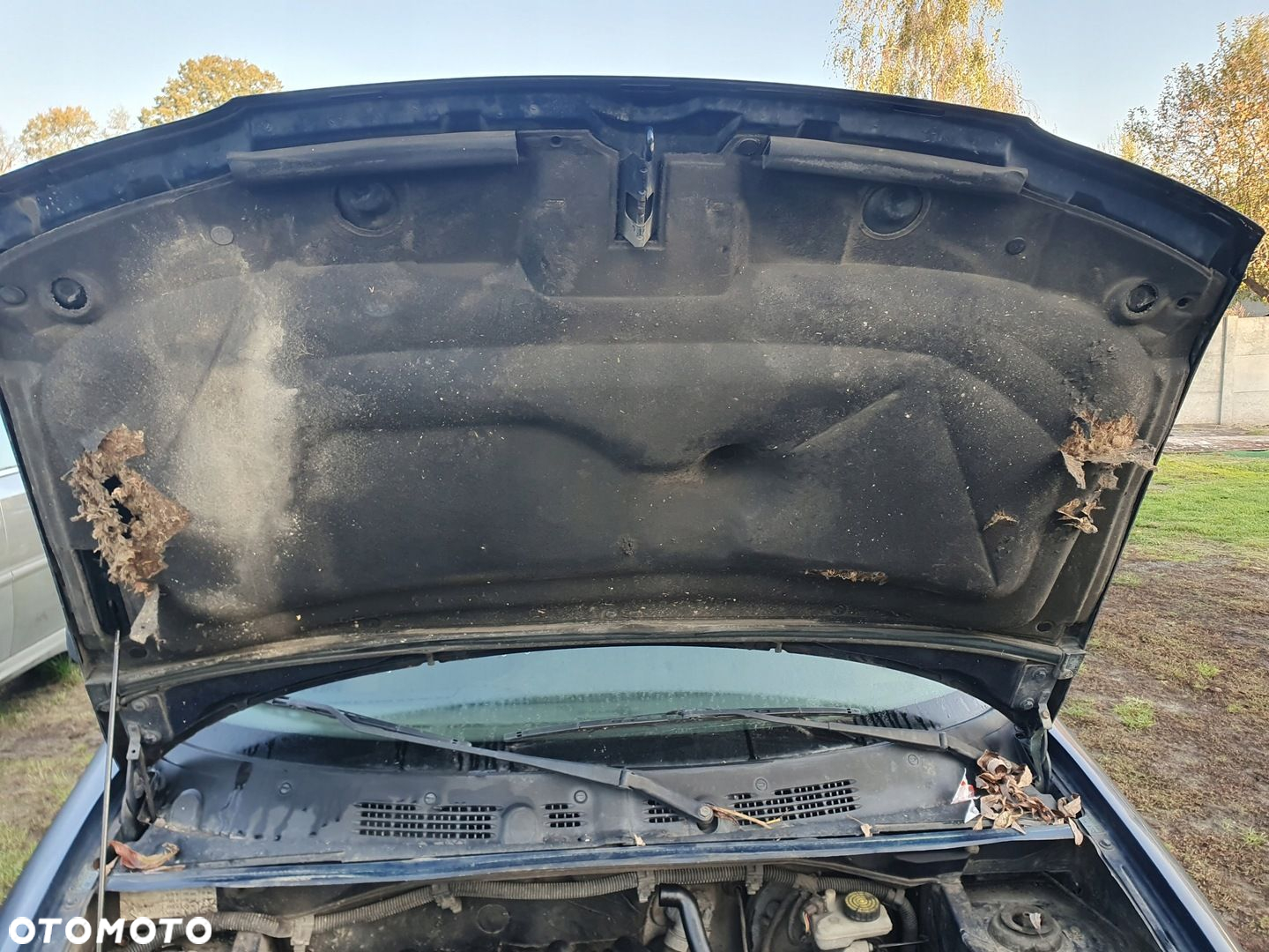 szyba z drzwi przednich lewe przód CITROEN BERLINGO I 1 98-01 1,9 KNC - 5