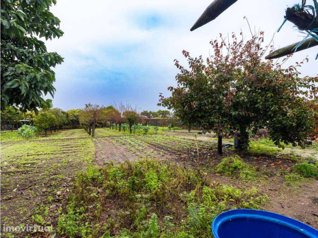 Moradia T5+2 com Jardim, Quintal e Anexos - Sepins e Bolho, Cantanhede - Grande imagem: 5/34