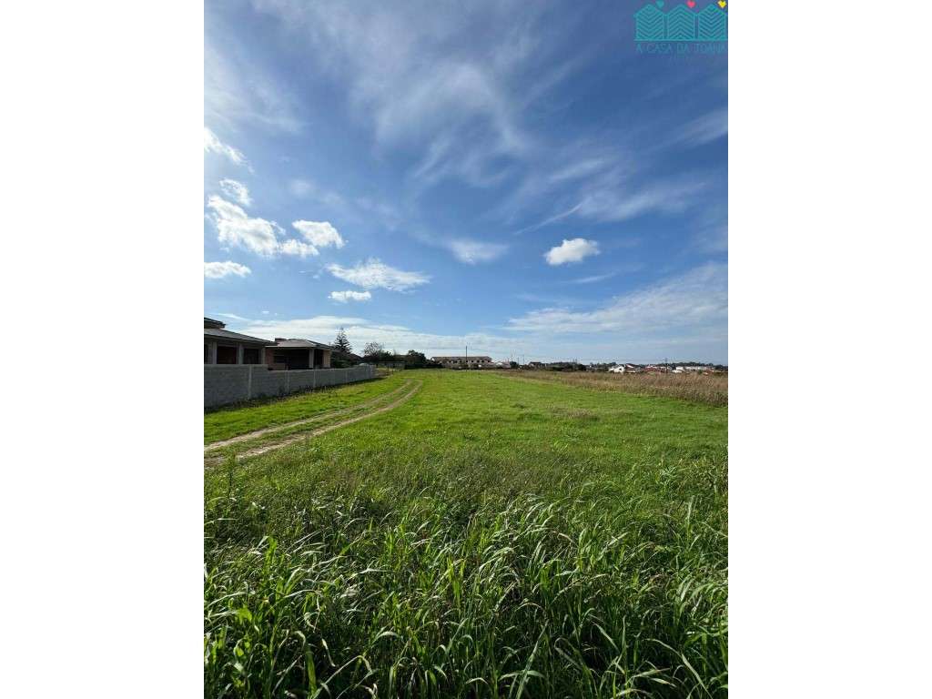 Terreno na Branca - Grande imagem: 2/6