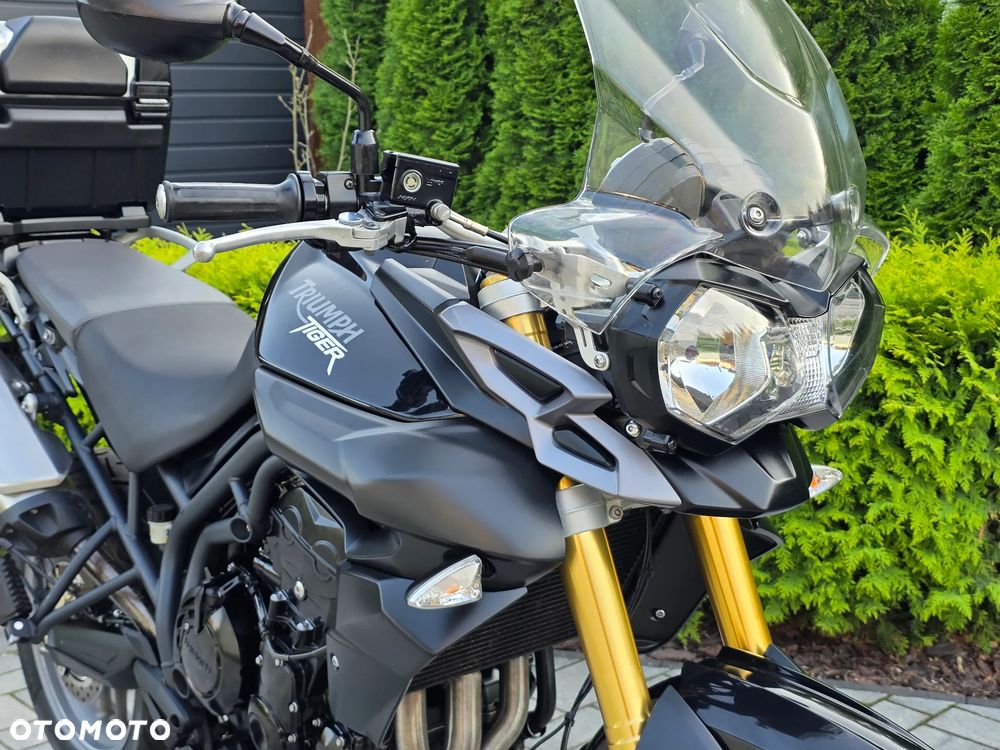 Triumph Tiger - 5