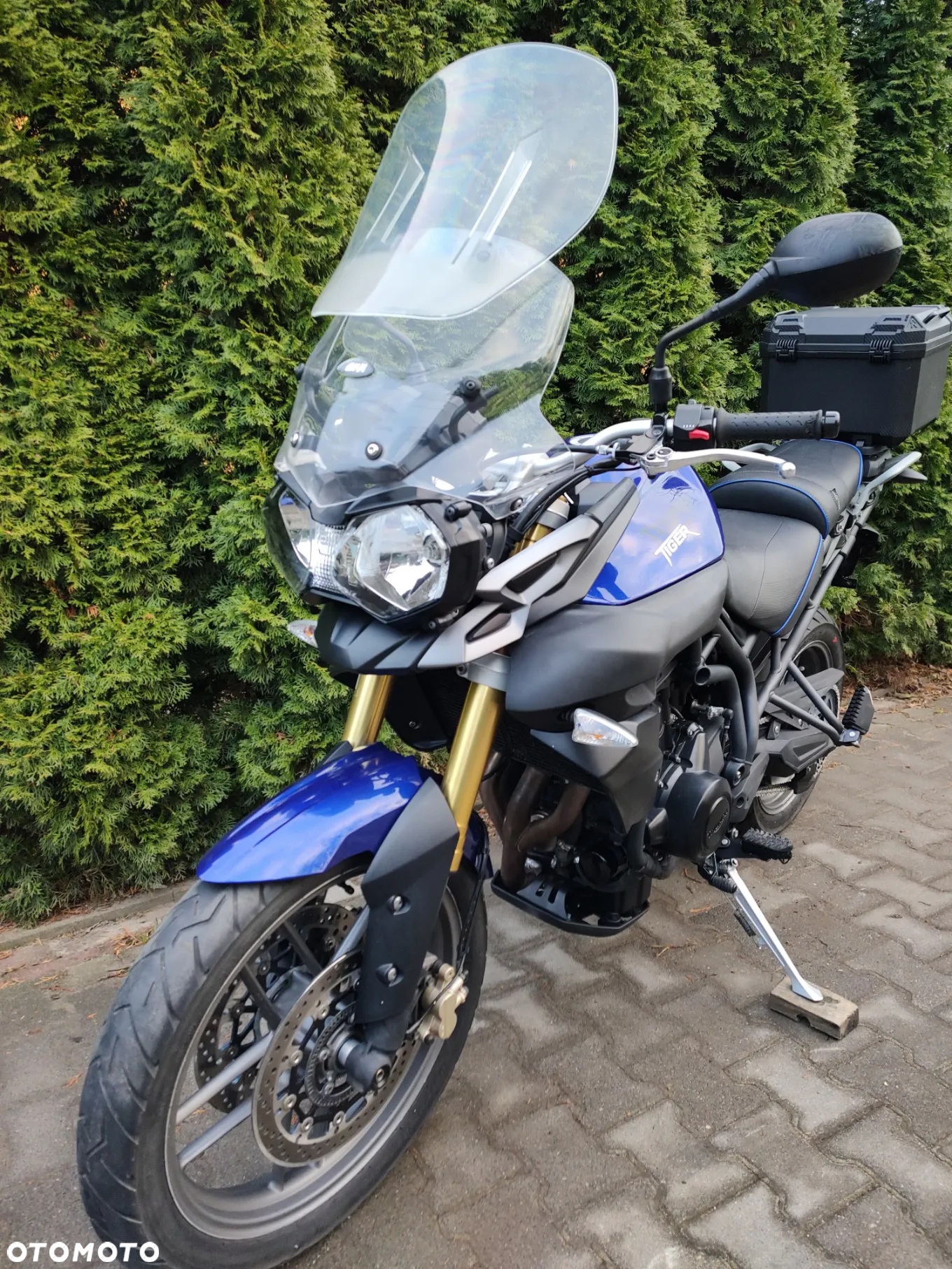 Triumph Tiger - 8