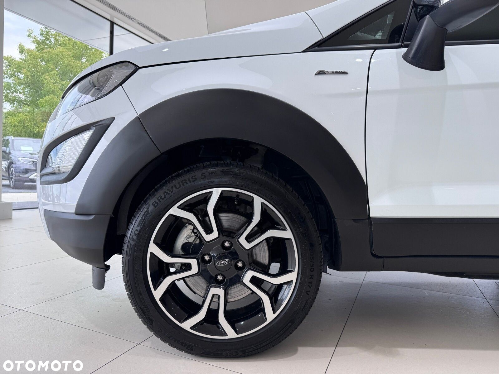 Ford EcoSport 1.0 EcoBoost GPF Active ASS - 18