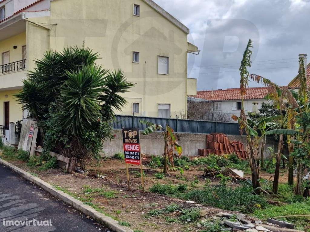 Terreno Para Construção - Estacal Novo - 99.000€ - Grande imagem: 3/4