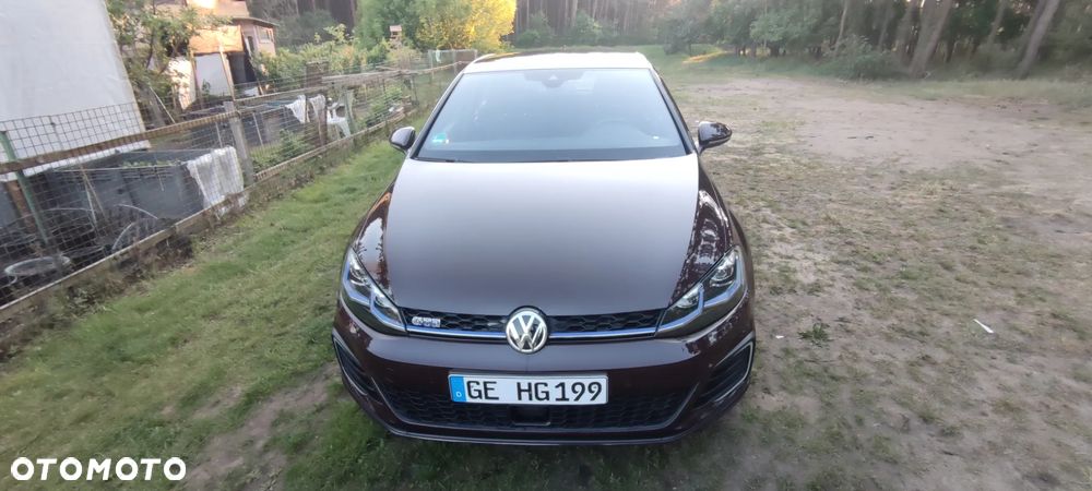 Volkswagen Golf 1.4 GTE Plug-In-Hybrid DSG - 12
