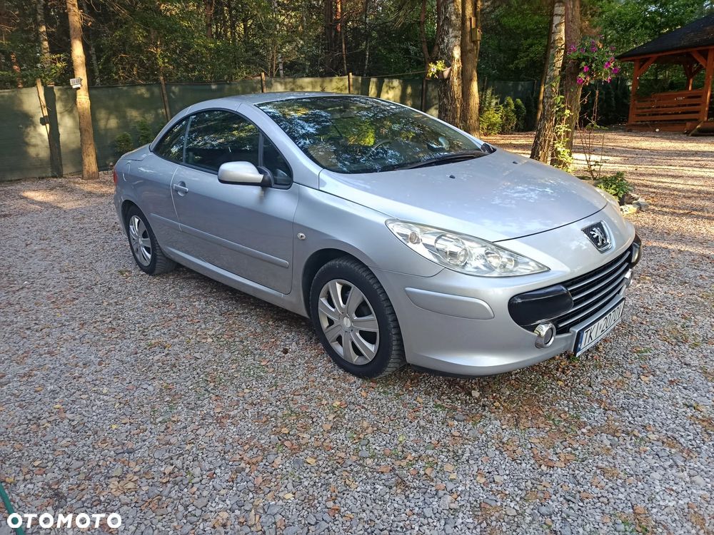 Peugeot 307 CC - 33