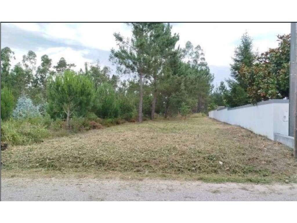 Terreno Urbanizável com 2.160 m² - Lagoa do Torrão, Amieiro (Arazede) - Grande imagem: 2/4