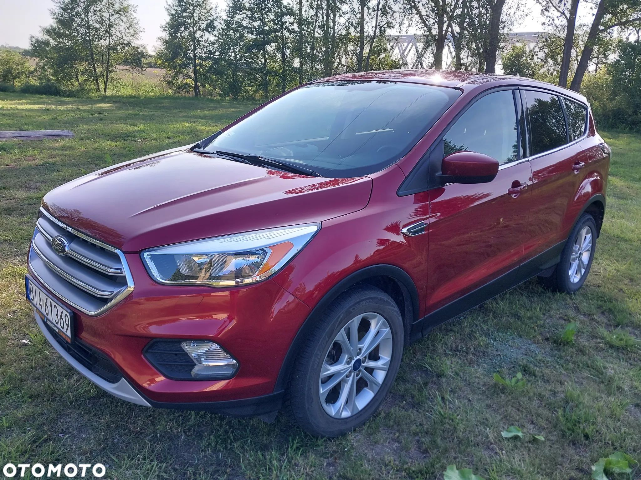 Ford Escape - 1
