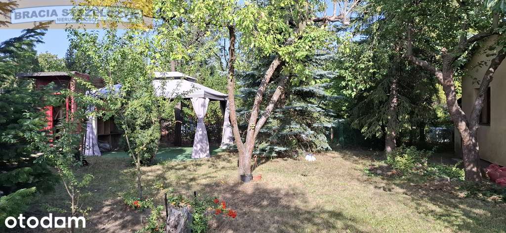 Działka ROD Siekierki II - 300 m² - Pełny obrazek: 2/4