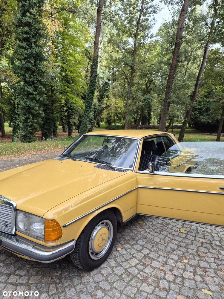 Mercedes-Benz W123 - 8