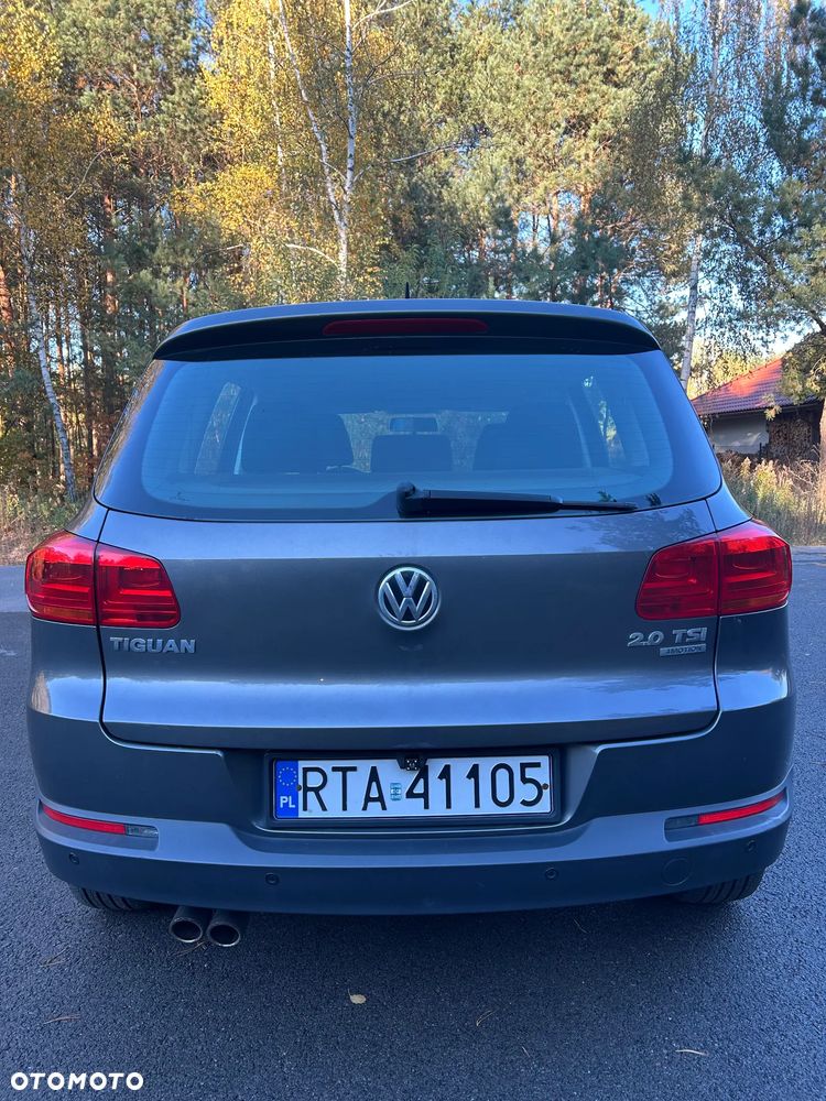 Volkswagen Tiguan - 10