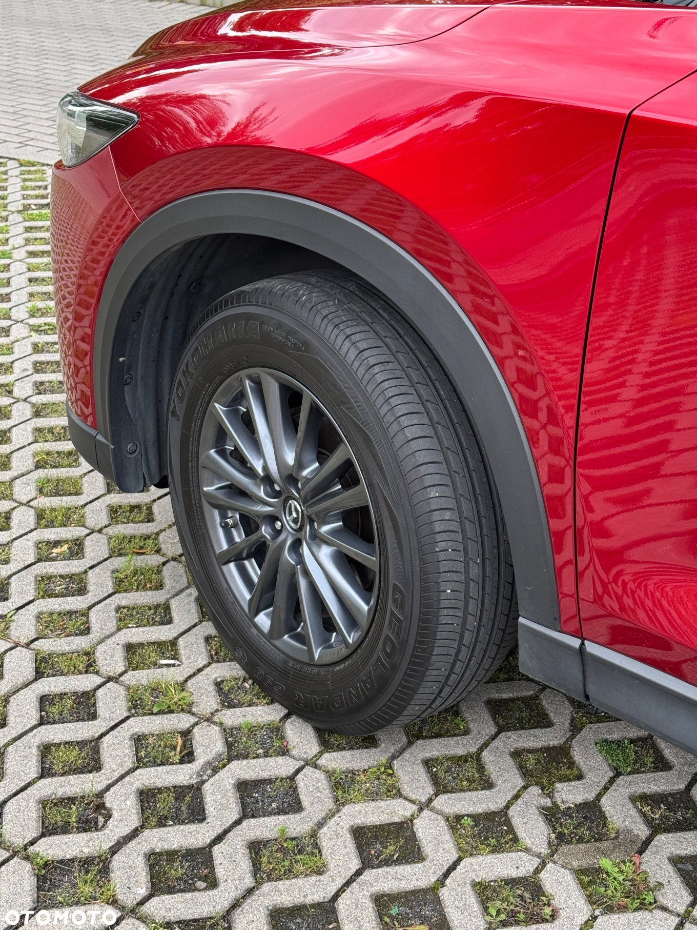 Mazda CX-5 2.0 Skyenergy 2WD - 13
