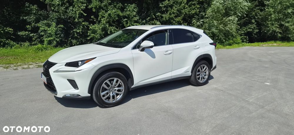 Lexus NX 300h Business Edition AWD - 7