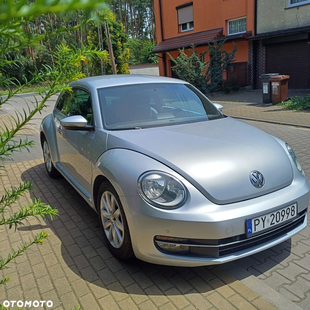 Volkswagen Beetle - 11