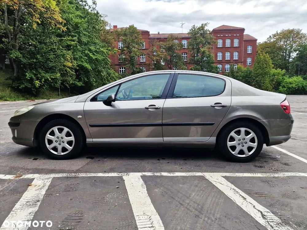 Peugeot 407 - 20