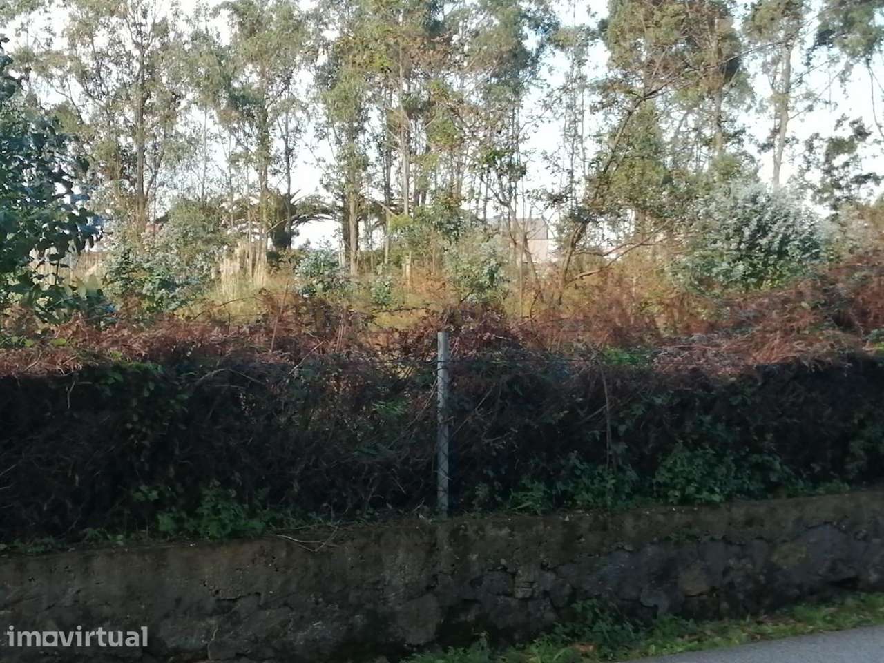 Terreno de 10 851m2 em Lavra - Grande imagem: 5/18