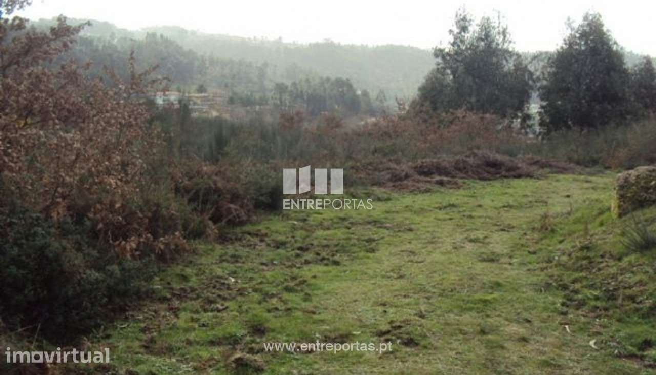 Venda Terreno, junto à estrada, Tabuado, Marco de Canaveses - Grande imagem: 2/8