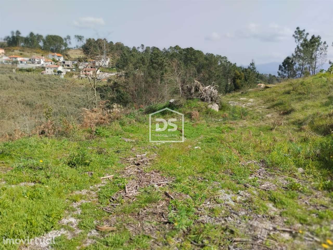 Terreno  Venda em Fregim,Amarante - Grande imagem: 4/35