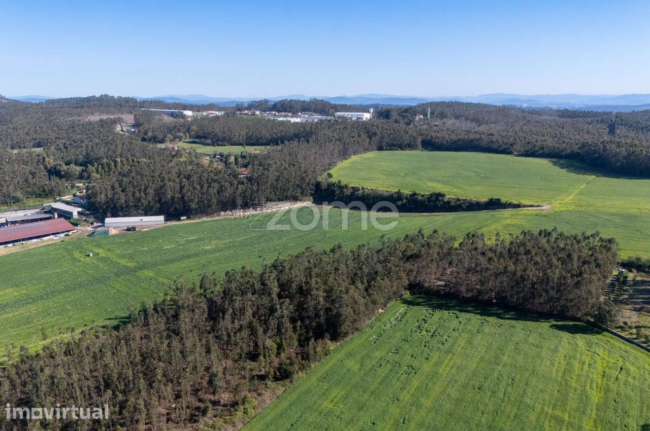 Terreno Rústico com 10.350 m² | Rua do Batel – Guilhabreu - Grande imagem: 5/21