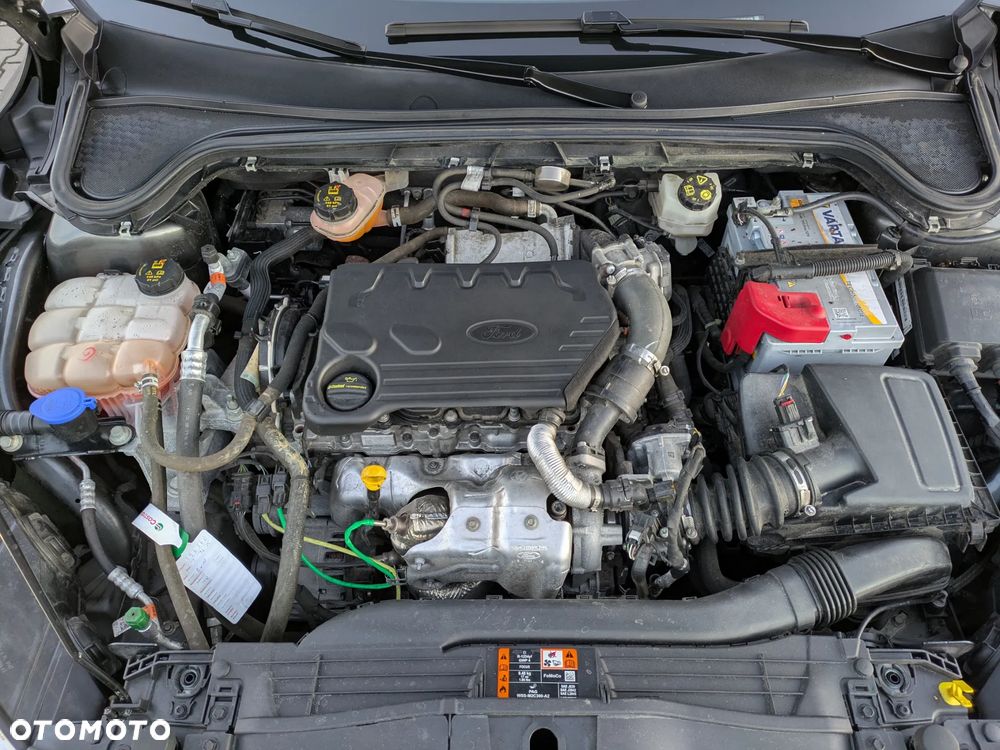 Ford Focus 1.5 EcoBlue Start-Stopp-System COOL&CONNECT - 19