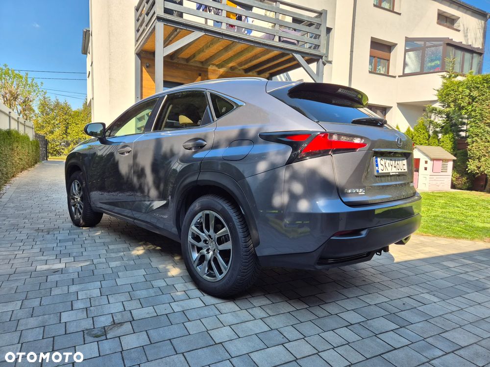 Lexus NX 300h Business Edition AWD - 8