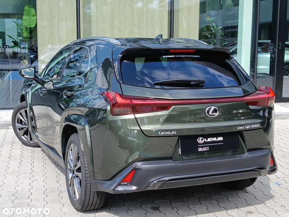 Lexus UX 300h F Sport AWD - 13