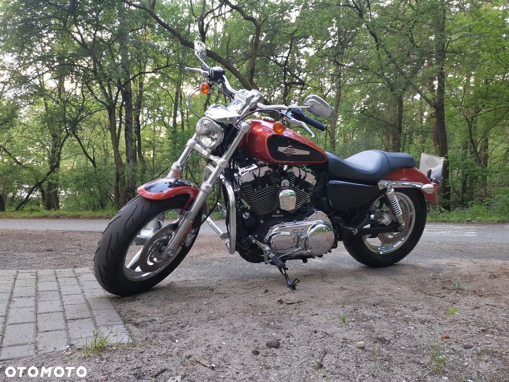 Harley-Davidson Sportster Custom 1200C - 2