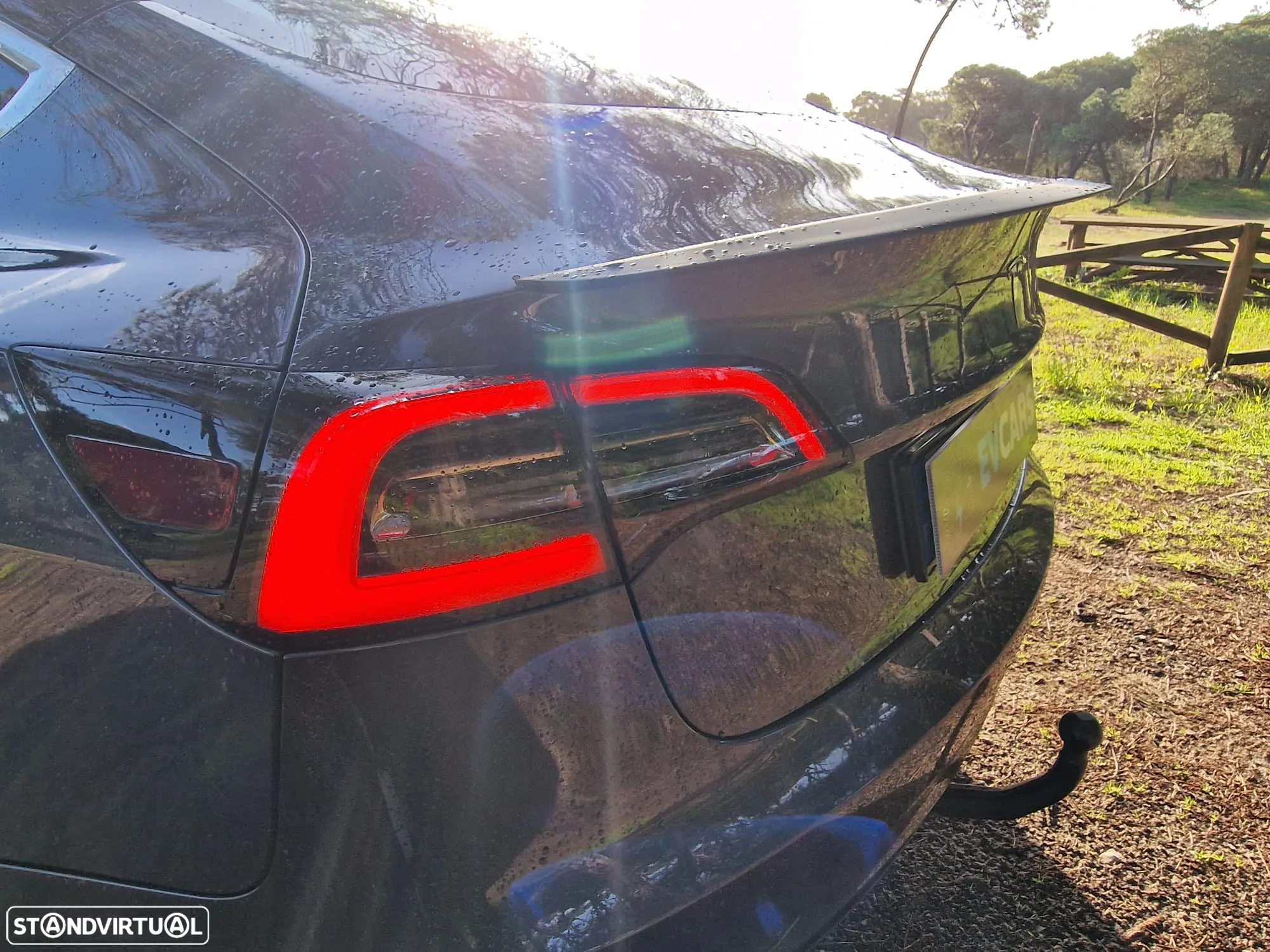 Tesla Model 3 Standard Range Plus RWD - 17