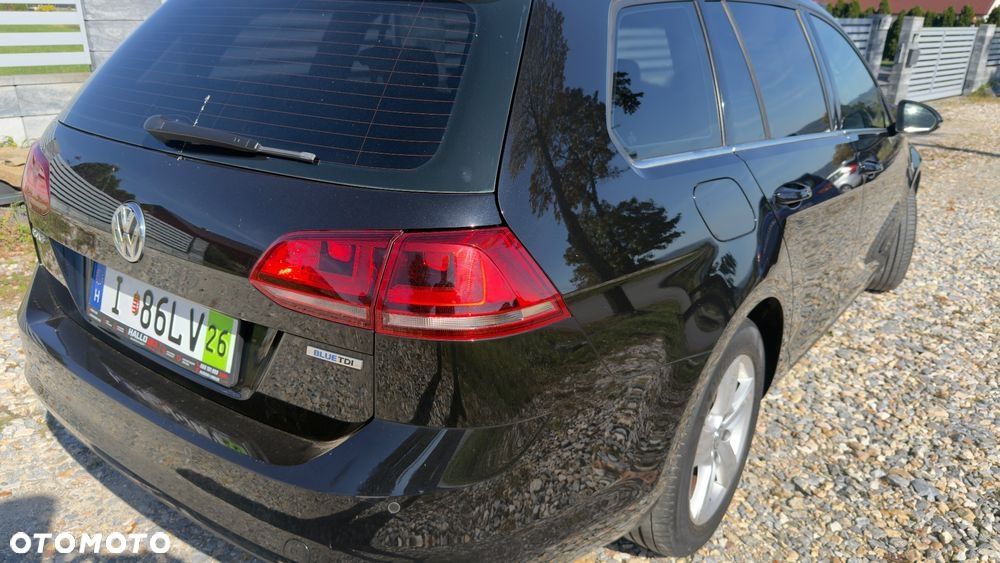Volkswagen Golf - 16